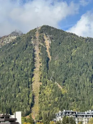 a hill covered in trees with a building on it at Cocon au cœur de Chamonix avec parking gratuit in Chamonix-Mont-Blanc