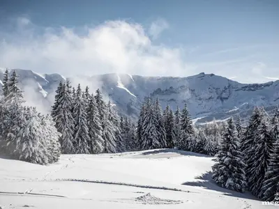 a snow covered mountain with trees and mountains at Appartement 3 ch. à Megève proche centre - FR-1-569-125 in Megève