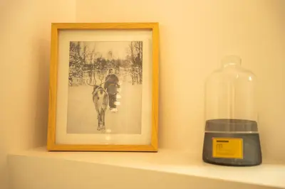 a picture of a person riding a horse on a shelf at 3 bed apt,central location, parking, garden, 6 pax in Saint-Gervais-les-Bains
