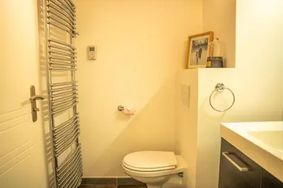 a bathroom with a toilet and a sink at 3 bed apt,central location, parking, garden, 6 pax in Saint-Gervais-les-Bains