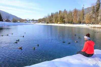 a woman sitting on the edge of a lake with ducks at Les Eterlous 28 - Appt montagne 4 pers in Morillon