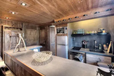 a kitchen with wooden walls and a counter in a kitchen at Tatiana I in Megève