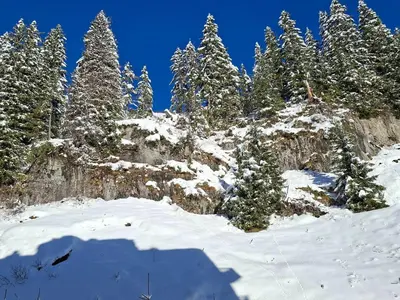 a group of snow covered trees on a mountain at Studio rénové à Flaine, proche des pistes et commerces - FR-1-425-207 in Arâches-la-Frasse