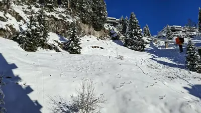a snow covered slope with trees on a mountain at Résidence Vega - Studio rénové · Proche des pistes et des commerces MAE-2831 in Magland