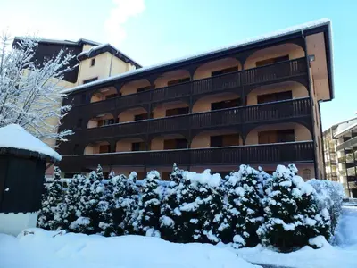 a snow covered bush in front of a building at Appartement cosy à Chamonix pour 4, balcon, parking - FR-1-343-250 in Chamonix-Mont-Blanc