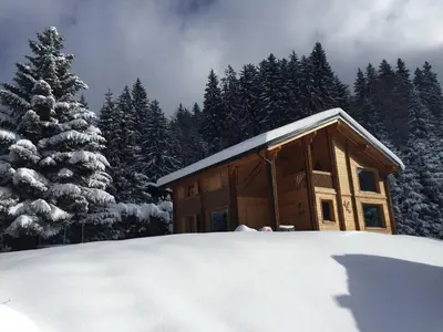 a cabin in the snow next to a christmas tree at Chalet aux Cerfs - Maison pour 10 vue montagne in Arâches-la-Frasse