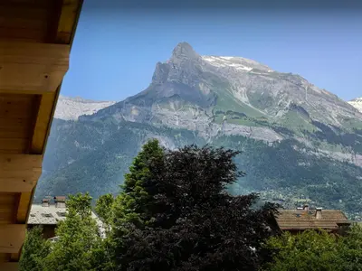 a view of a mountain with a tree in the foreground at Le Primpiolet - OVO Network in Combloux