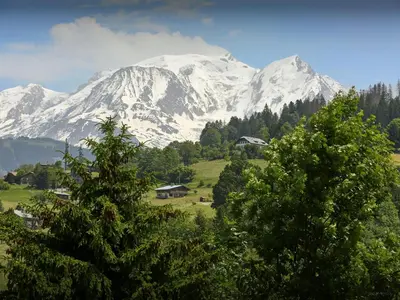 a snow covered mountain in a field with trees at Le Primpiolet - OVO Network in Combloux