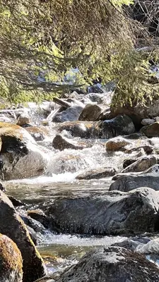 a stream of water with rocks and trees at Hygge and Lykke in Saint-Gervais-les-Bains