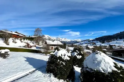 a snow covered yard with trees and a house at Le Balcon des Princesses in Demi-Quartier