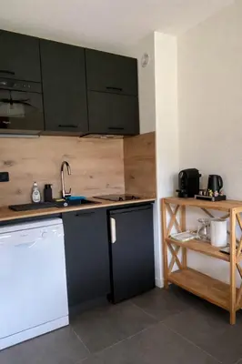 a kitchen with a sink and a dishwasher at Appartement rénové T2, vue montagne in Samoëns