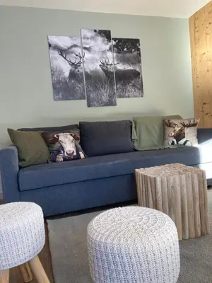 a blue couch in a living room with paintings on the wall at Renovated flat facing Mont Blanc in Combloux