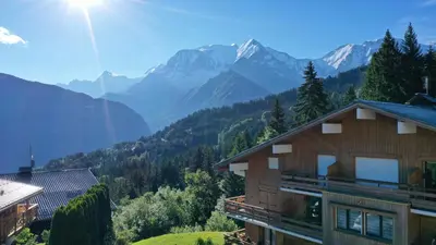 a house on a hill with mountains in the background at Studio cabine Au Loup Blanc avec vue Mont Blanc in Saint-Gervais-les-Bains