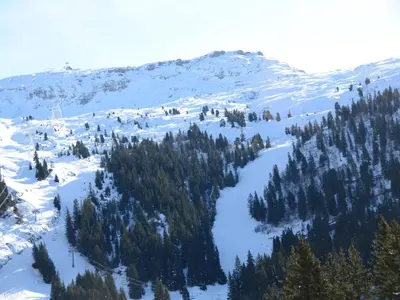 a mountain covered in snow with trees on it at Appartement confortable · Proche pistes · WIFI gratuit - FR-1-425-211 in Arâches-la-Frasse