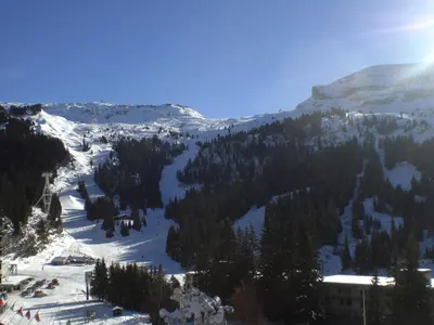 a snow covered mountain with trees and a ski slope at Appartement confortable · Proche pistes · WIFI gratuit - FR-1-425-211 in Arâches-la-Frasse