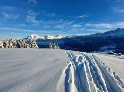 a snow covered field with snow covered trees and mountains at Appartement Saint Gervais proche centre in Saint-Gervais-les-Bains