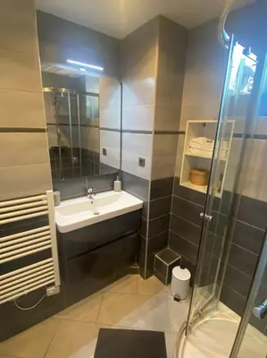 a bathroom with a sink and a shower at Appartement, au cœur de Sallanches in Sallanches