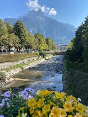 a river with yellow and purple flowers and a mountain at Appartement, au cœur de Sallanches in Sallanches
