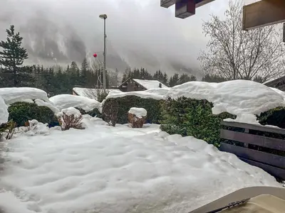a yard covered in snow with bushes and trees at Apartment Clos du Chantey Moury by Interhome in Chamonix-Mont-Blanc