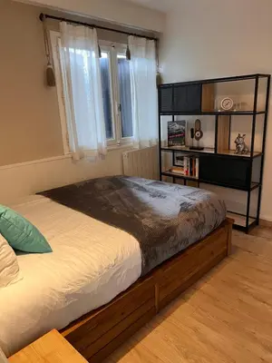 a bedroom with a bed and a book shelf at Appartement cosy avec vue exceptionnelle in Saint-Gervais-les-Bains