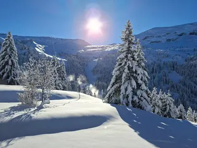 a snow covered mountain with trees and the sun in the background at Appartement spacieux au pied des pistes avec balcon et WIFI - FR-1-425-212 in Arâches-la-Frasse