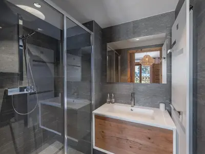 a bathroom with a sink and a shower at Appartement neuf avec espace bien-être, sauna et hammam - FR-1-569-188 in Megève