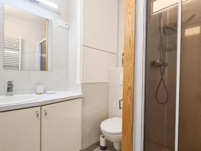a bathroom with a toilet sink and a shower at Appartement rénové au pied des pistes avec balcon - FR-1-425-215 in Arâches-la-Frasse