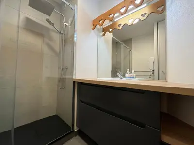 a bathroom with a sink and a shower at 3 pièces avec terrasse, animaux admis, parking – Samoëns - FR-1-629-137 in Samoëns