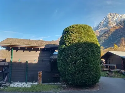 a large green bush in front of a house at Cosy Petite Chalet T3, Jardin, Terrasse, Parking. Chamonix Mont-blanc. in Les Houches