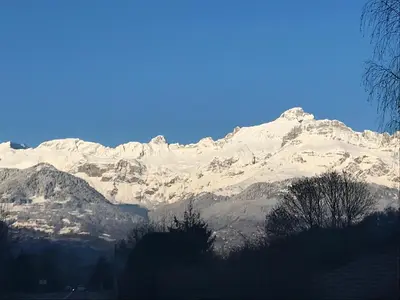 a mountain covered in snow with trees in front of it at Chambre Sallanches in Sallanches