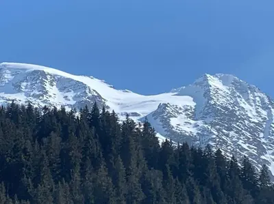 a snow covered mountain with trees in front of it at Individual chalet for up to 12 people maximum in Les Contamines-Montjoie