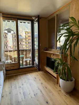 a living room with a potted plant and a large window at L’Atypique - centre Chamonix in Chamonix-Mont-Blanc