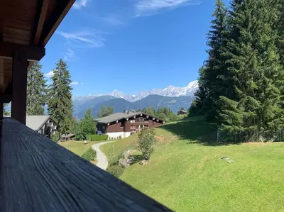 a living room with a table and a fireplace at Chalet le Daim appartement 6 pers Vue Mont-Blanc in Combloux