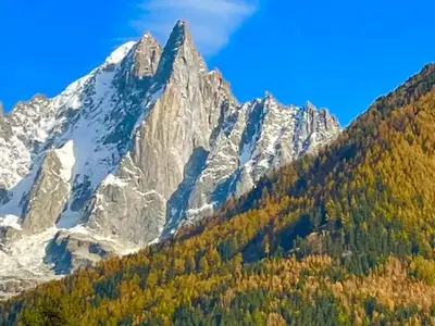 a snowy mountain with trees in front of it at Appart Centre Chamonix Grande Terrasse Mont Blanc in Chamonix-Mont-Blanc