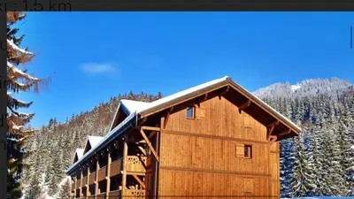 a view of a snowy forest with snow covered trees at Bel appartement au Lays in Arâches-la-Frasse