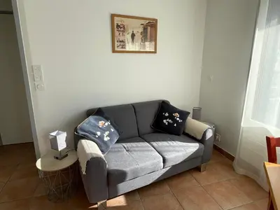 a living room with a gray couch with two pillows at Resort central apartment ideal for up to 2 people in Les Carroz d'Araches