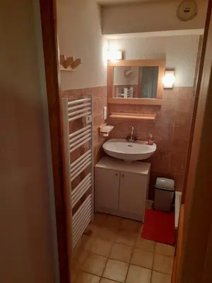a small bathroom with a sink and a mirror at Le chalet des neiges 3 est au calme situé à 5 mn à pied du centre juste à côté du terrain de foot est composé canapé convertible et 3 lits supperposés parking privé sur place et arrêt navette gratuite à 30 m in Les Carroz d'Araches