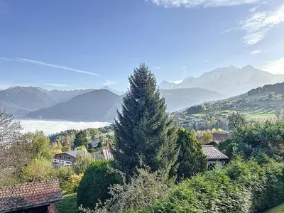 a pine tree on a hill with mountains in the background at Studio mezzanine au centre de Combloux avec parking - FR-1-560-123 in Combloux