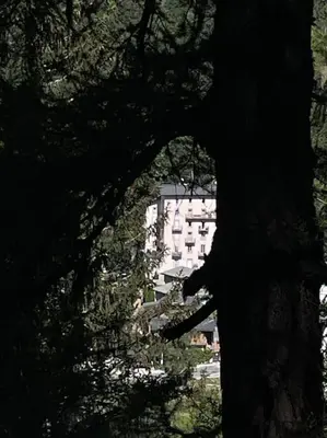 a view of a building through a tree at 10 Bel-Alp in Chamonix-Mont-Blanc