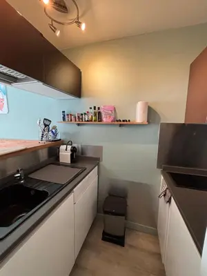 a kitchen with a sink and a counter top at Chamois blanc / Chamonix in Chamonix-Mont-Blanc