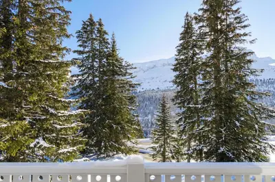 a group of pine trees in the snow at Les Chalets de Flaine Hameau - maeva Home - Chalet 4 Pièces 8 Personnes - Sélection MAE-3386 in Flaine