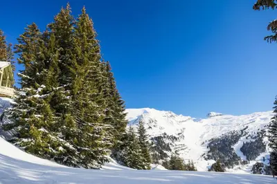 a christmas tree in the snow in front of a mountain at Les Chalets de Flaine Hameau - maeva Home - Chalet 3 Pièces 8 Personnes - Confort MAE-3654 in Flaine