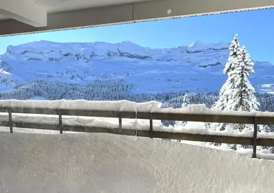 a painting of a snow covered tree on a fence at Résidence Arche - maeva Home - Appartement 2 Pièces 6 Personnes - Confort MAE-3694 in Arâches-la-Frasse