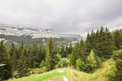 a hillside with trees and a snow covered mountain at Résidence Arche - maeva Home - Appartement 2 Pièces 6 Personnes - Confort MAE-3696 in Arâches-la-Frasse