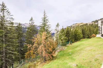 a grassy hill with trees and a house on it at Résidence Sirius - maeva Home - Studio 4 Personnes - Confort MAE-3896 in Arâches-la-Frasse