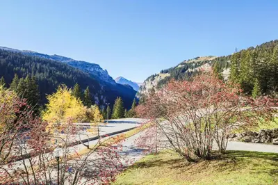 a river in the mountains with trees at Résidence Eridan - maeva Home - Appartement 5 Pièces 10 Personnes - Confort MAE-3955 in Flaine