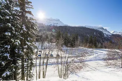 a snow covered field with trees and a mountain at Résidence Eridan - maeva Home - Appartement 5 Pièces 10 Personnes - Confort MAE-3955 in Flaine