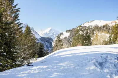 a snow covered hill with trees and mountains in the background at Résidence Pollux - maeva Home - Appartement 2 pièces 6 personnes - Budget MAE-4210 in Arâches-la-Frasse