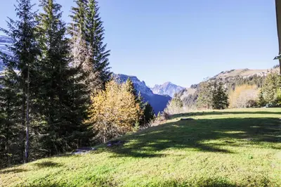 a green field with trees and mountains in the background at Résidence Pollux - maeva Home - Studio 4 personnes - Budget MAE-4213 in Arâches-la-Frasse