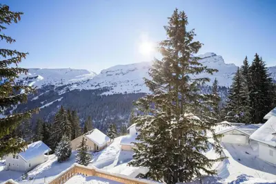 a snow covered tree in front of a mountain at Résidence Arbaron - maeva Home - Appartement 3 Pièces 8 Personnes - Budget MAE-4591 in Flaine